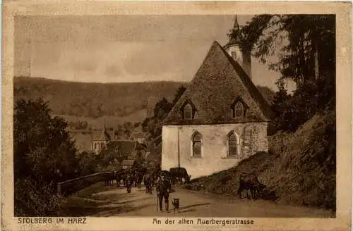 Stolberg/Harz . An der alten Auerbergerstrasse -302762