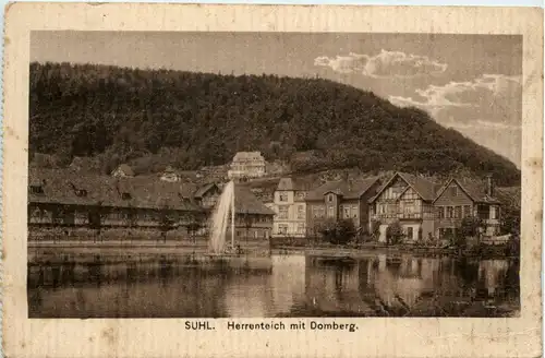 Suhl/Thür. - Herrenteich mit Domberg -302296