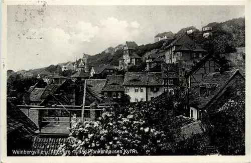 Bad Frankenhausen/Kyffh. - Weinbergvillen und Alteburg -302590