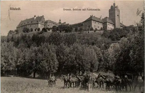 Mansfeld/Südharz - Allstedt - Grossh. Schloss mit Fohlenweide -302810