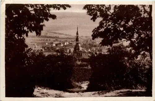 Kyffhäuser/Thür. - Solbad Frankenhausen - Blick vom Schlachtberg -301934