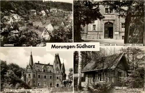 Sangerhausen - Stadtteil Morungen/Südharz - div.Bilder -302056