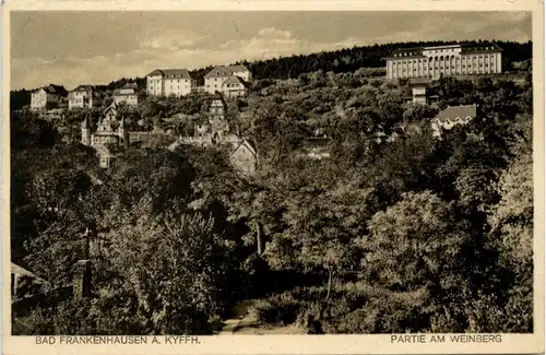 Kyffhäuser/Thür. - Solbad Frankenhausen - Partie am Weinberg -301894