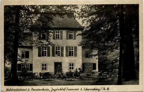 Schwarzburg/Thür. - Waldrestaurant u. Pensionshaus, Jagdschloss Fasanerie -302494