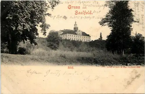 Saalfeld/Saale - Schloss -302354
