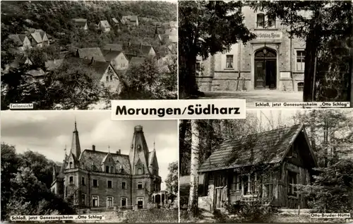 Sangerhausen - Morungen/Südharz - div.Bilder -302830