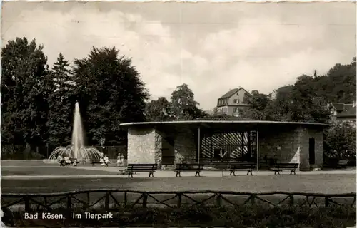 Bad Kösen Heilbad - Im Tierpark -302870