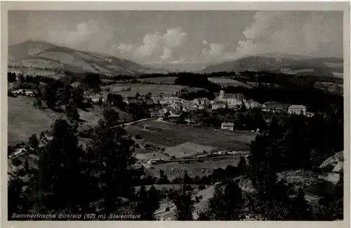 Steiermark - Sommerfrische Birkfeld -303464