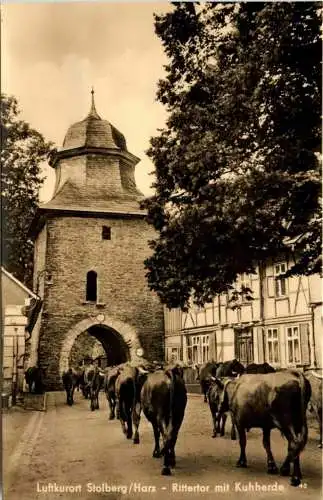 Stolberg/Harz - Rittertor mit Kuhherde -302670