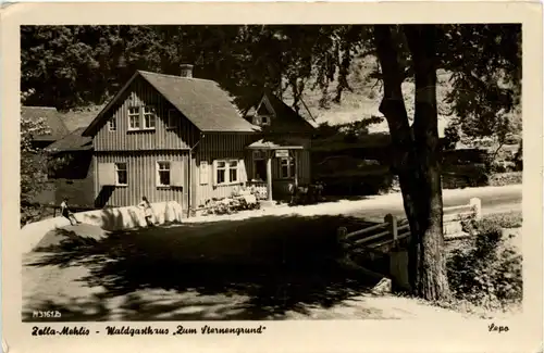 Zella-Mehlis - Waldgasthaus Zum Sternengrund -302898