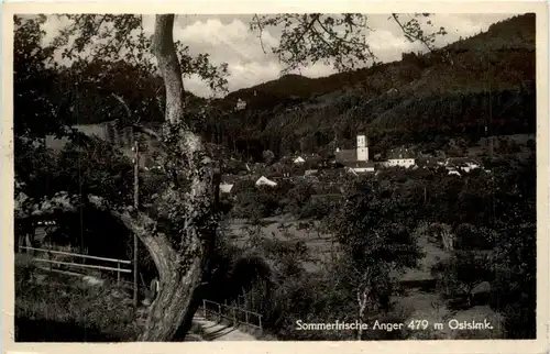 Anger - Oststeiermark - Sommerfrische Anger - -303284