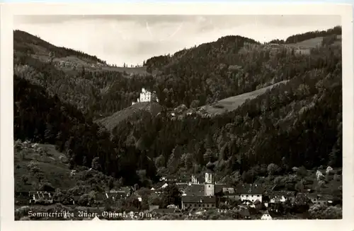 Steiermark - Sommerfirsche Anger -303342