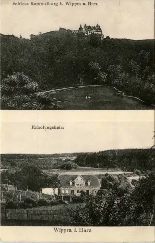 Mansfeld - Wippra/Harz - div.Bilder -303194