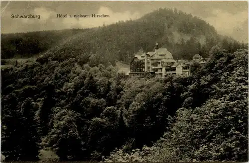 Schwarzburg/Thür. - Hotel z. weissen Hirschen -301694