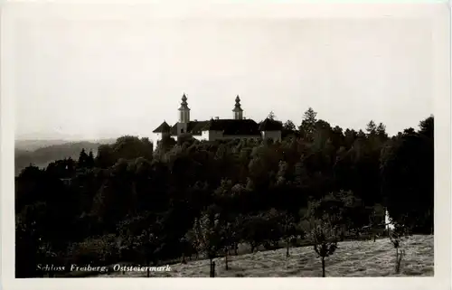 Schloss Freiberg /Steiermark - -303710