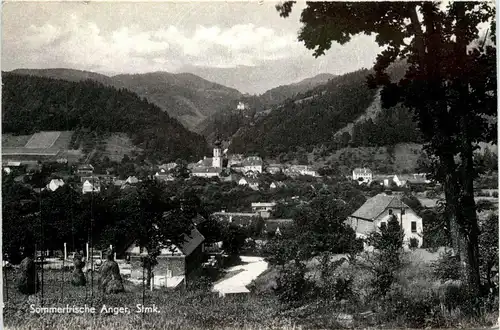 Anger - Oststeiermark - Sommerfrische Anger -303274