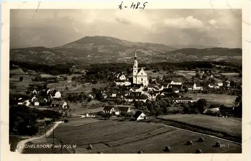 Weiz/Steiermark - Pischelsdorf mit Kulm -303834
