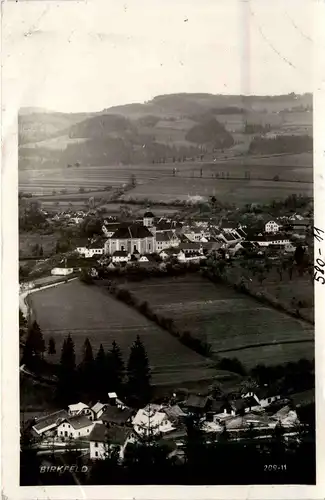 Steiermark - Sommerfrische Birkfeld -303472