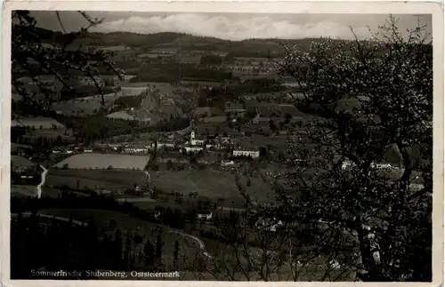 Stubenberg/Steiermark - -303996