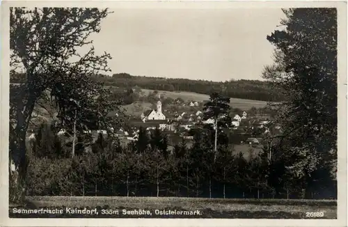 Kaindorf/Steiermark - -304042
