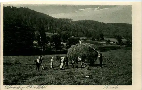 Schwarzburg/Thür.Wald -302472