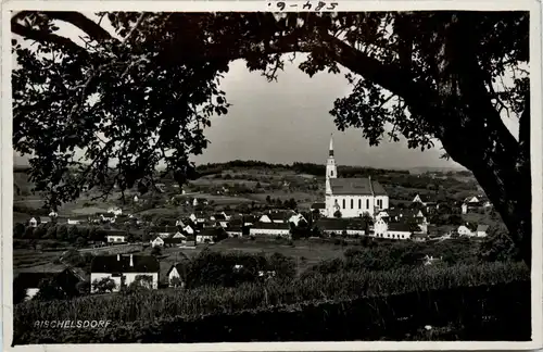 Weiz/Steiermark - Sommerfrische Pichelsdorf -303878