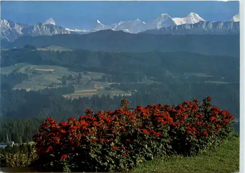 Rötenbach im Emmental -205550