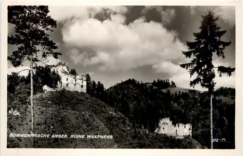 Anger/Steiermark - mit Ruine Waxenegg -305708