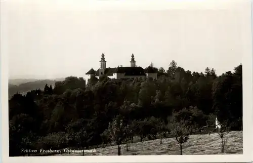 Schloss Freiberg /Steiermark -303696