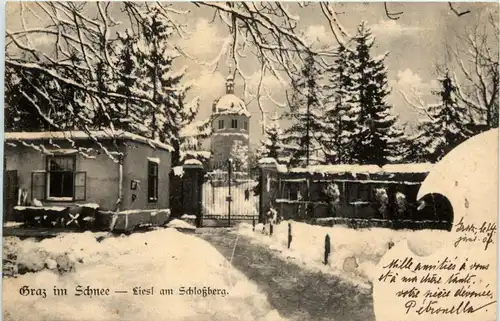 Graz/Steiermark - im Schnee - liesl am Schlossberg -305120