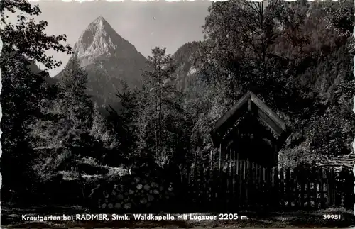 Radmer /Steiermark -Waldkapelle mit Lugauer -306030