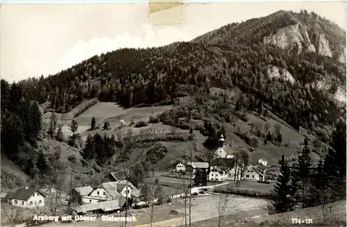 Arsbergl/Steiermark - mit Gösser -305560