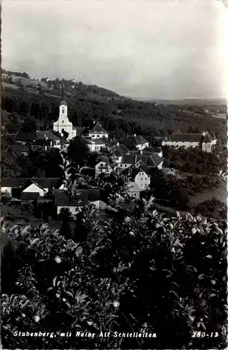 Stubenberg/Steiermark -mit Ruine Schielleiten -303982