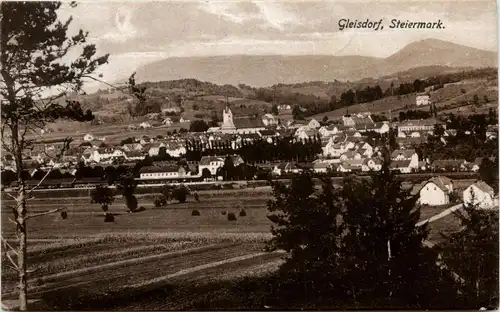 Gleisdorf/Steiermark -303692