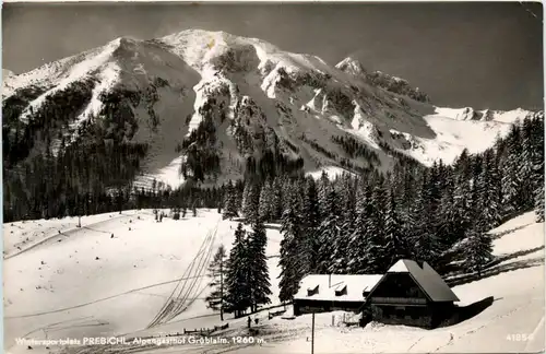 Prebichl/Steiermark - Alpengasthof Gröblalm -305996