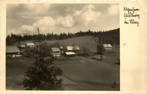 Weiz/Steiermark - Verein Erholungsheime Graz - Alpenverein Eibisberg bei Weiz -305616