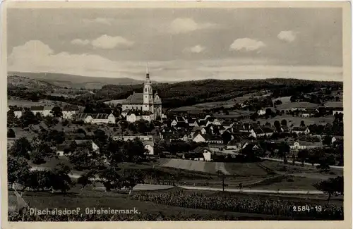 Weiz/Steiermark - Sommerfrische Pischelsdorf mit Kulm -303798