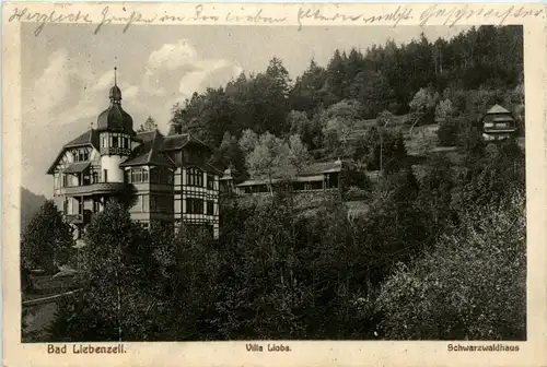 Bad Liebenzell - Villa Lioba -258712