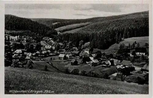 Wildenthal im Erzgebirge -259130