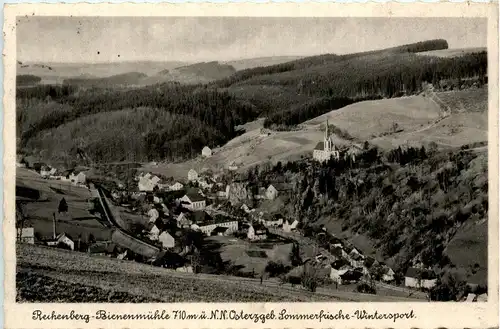 Rechenberg Bienenmühle -259134