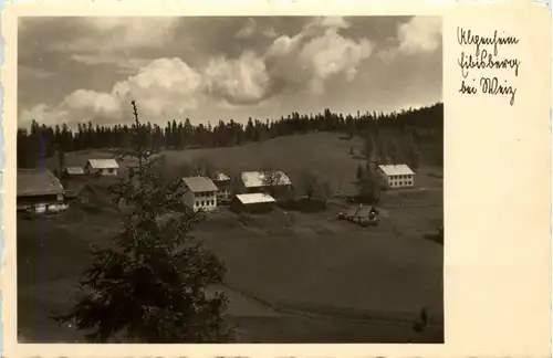 Weiz/Steiermark - Alpenheim Eibisberg bei Weiz -305822