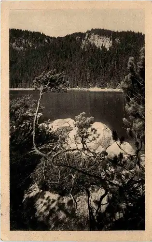 Böhmerwald - Plöckensteiner See -258800