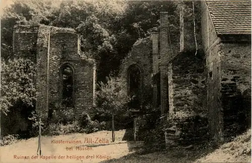 Nossen - Klosterruinen Alt Zella -259152