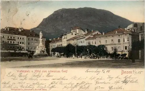 Bozen - Walterplatz und Hotel zum schwarzen Greif -259458