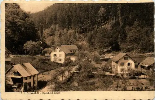 Hohwald - Sperberbächel -259644