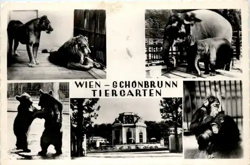 Wien Schönbrunn - Tiergarten -259410