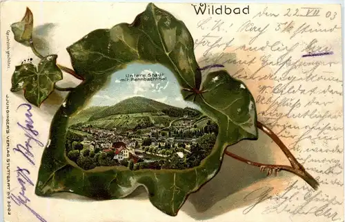 Wildbad - Litho -260650