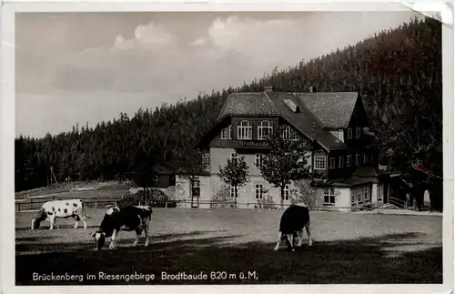 Brückenberg im Riesengebirge - Brodtbaude -261684