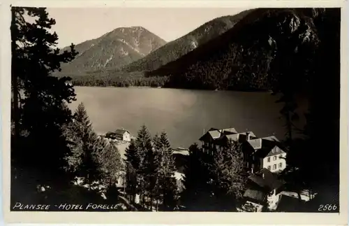 Plansee - Hotel Forelle -259692