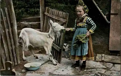 Hessische Trachten - Ziege - Goat -87498
